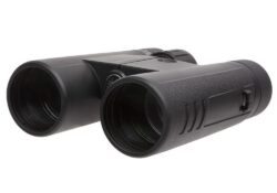 SIG SAUER BUCKMASTERS BINO 10X42 BLK